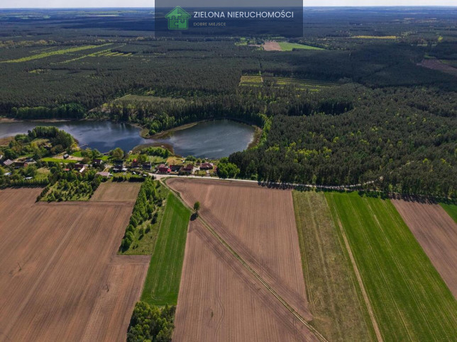 Dom Sprzedaż Psie Głowy 7